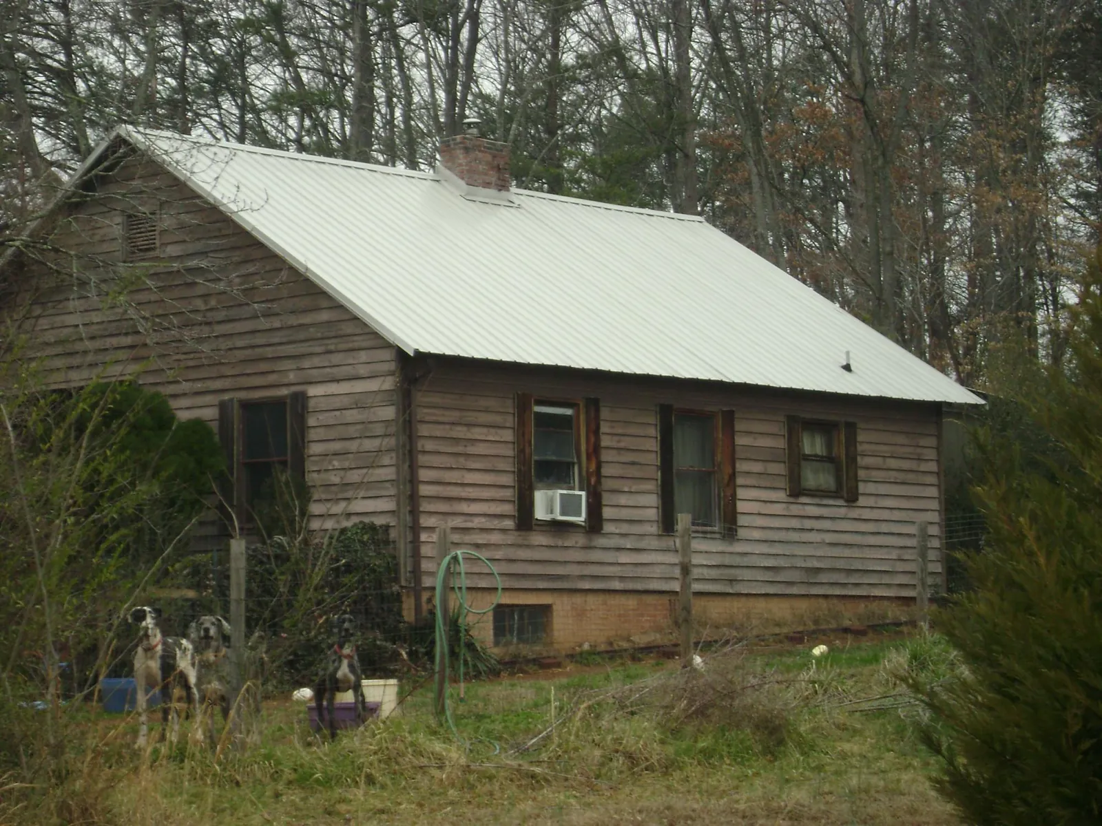 White metal roof on an old wood sided farmhouse, from a Asphalt Shingle Roof Repair job in Challis